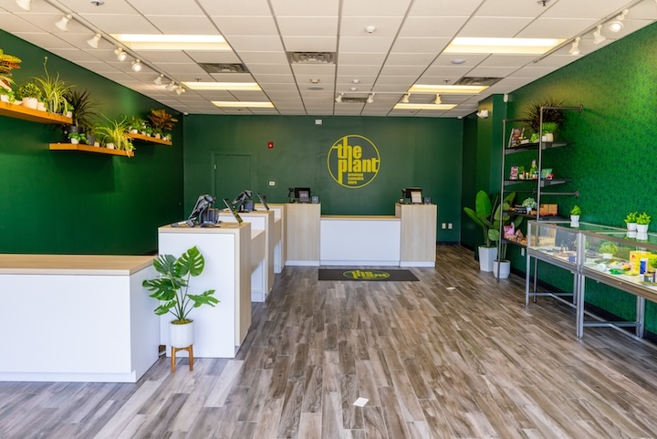 The Plant Premium Cannabis StoreThe Plant Premium Cannabis Store: Your Trusted Source for High-Quality Cannabis in Westchester CountyThe Plant Premium Cannabis Store